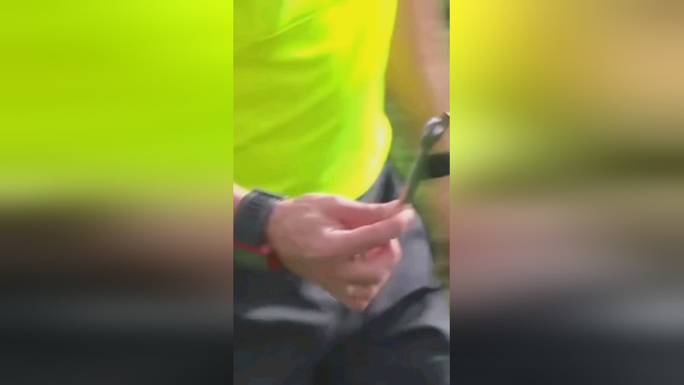 颇具个人
